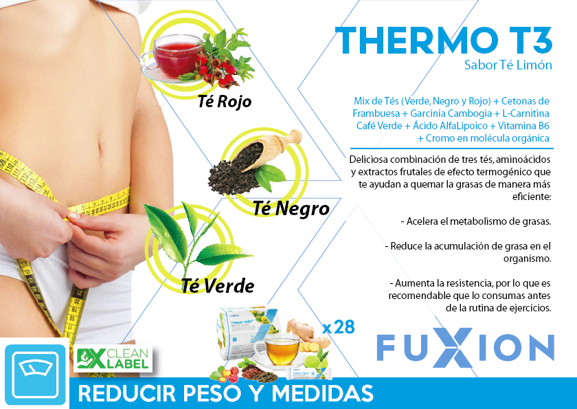 Thermo t3 flyer