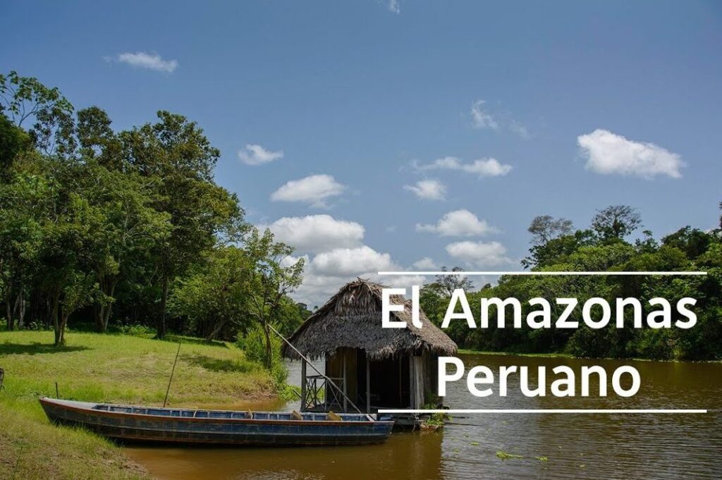 Comprafuxion . Amazonas Peruano